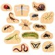 preview thumbnail 1 of 6, TickiT Wooden Minibeast Blocks - Set of 15 - Natural Natural - Kids