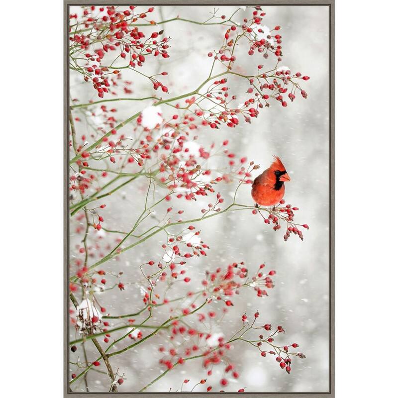 Red Cardinal and Red Berries by Carrie Ann Grippo-pike Framed Canvas Wall Art Print