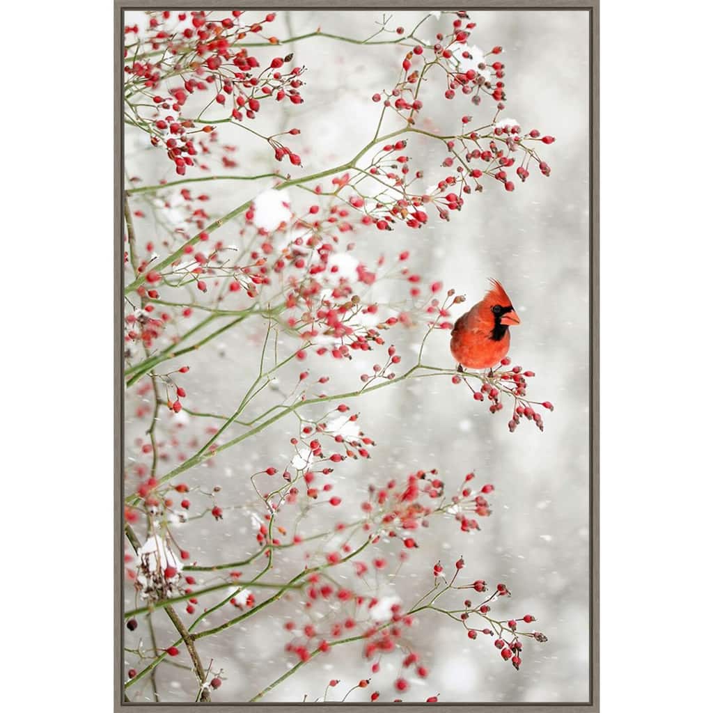 Red Cardinal and Red Berries by Carrie Ann Grippo-pike Framed Canvas Wall Art Print