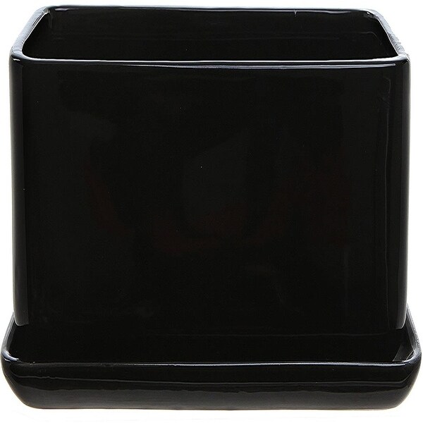 10 inch Modern Minimalist Black Ceramic Succulent Planter Pot - 8