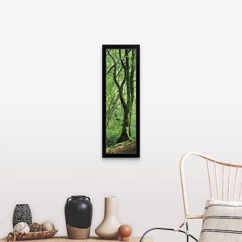 "Moss growing on a beech tree, Perthshire, Scotland" Black Framed Print