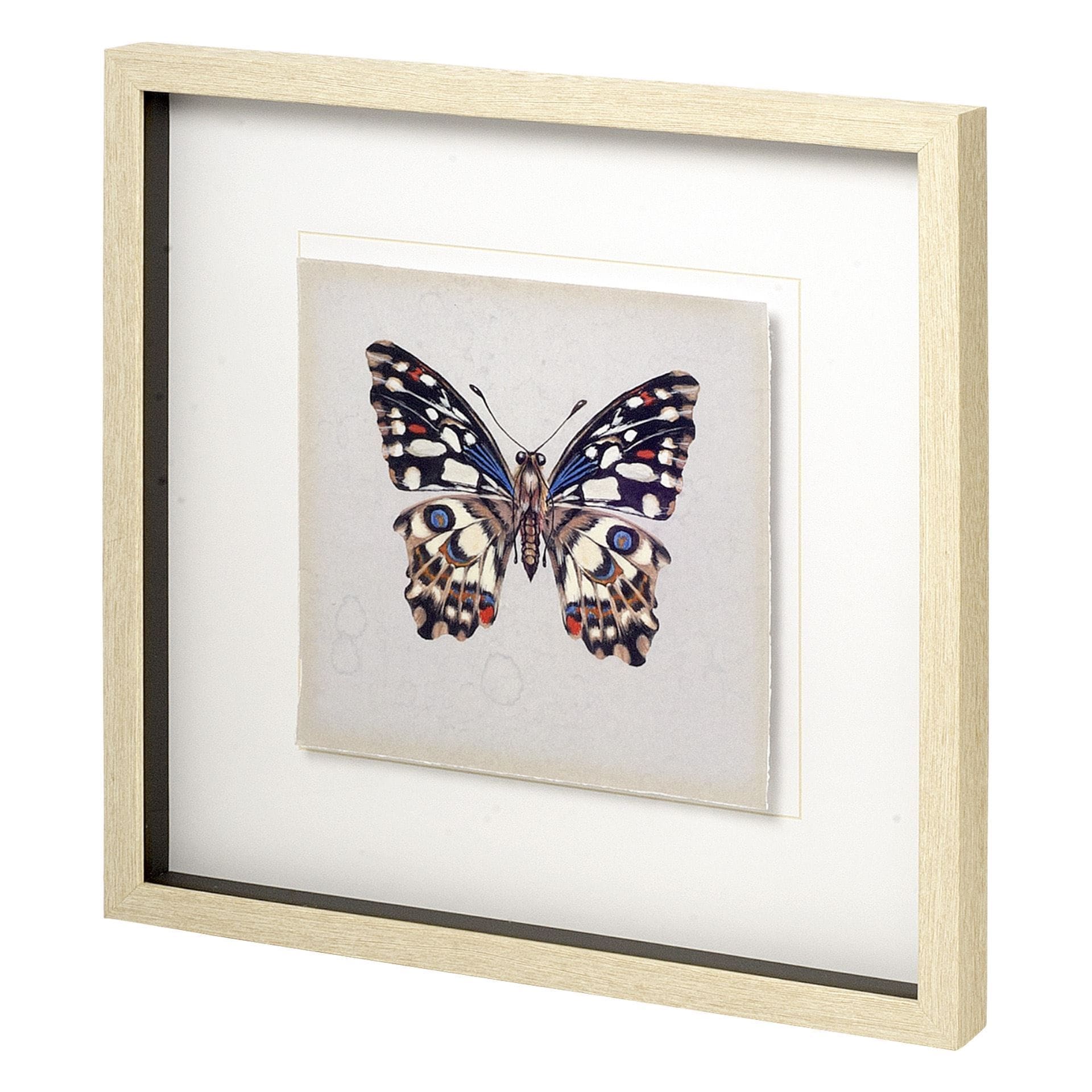 Mercana Butterfly Study II by Melissa Wang a Hand Embellished Textured Framed Art Print Matted under Glass