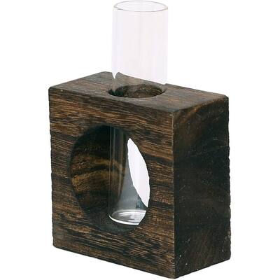 Glass Single Test Tube Vase in for Hydroponic Plants