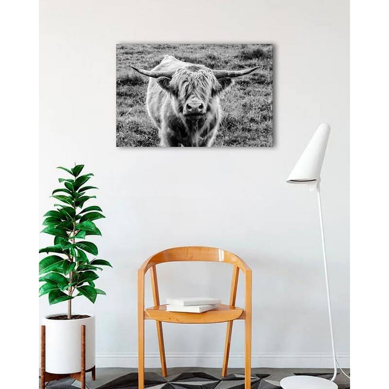 Highland Cow Staring Art Poster - Print On Demand - 24 x 32 Inch