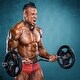 preview thumbnail 44 of 46, Olympic Weight Plates 5.5LB Plates Standard 2" Exercise Weights Weightlifting and Bodybuilding, Solid Iron Weight Plates