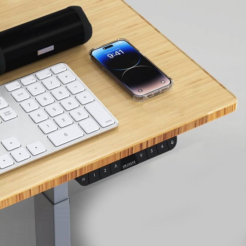 Rise Up Electric Standing Desk Dual Motor 48x30 solid bamboo desktop