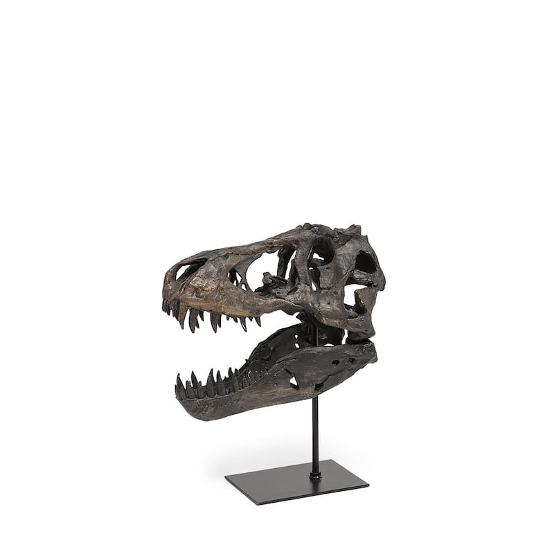 HomeRoots Brown Resin Tyrannosaurus Rex Skull Decor Piece - 10' X '12' X '6 - 10' X '12' X '6