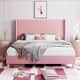 Option Pink