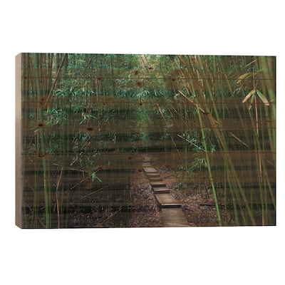 Boardwalk Through Bamboo, Pipiwai Trail, Hakeakala National Park, Maui, Hawaii, USA III Print On Wood by Panoramic Images