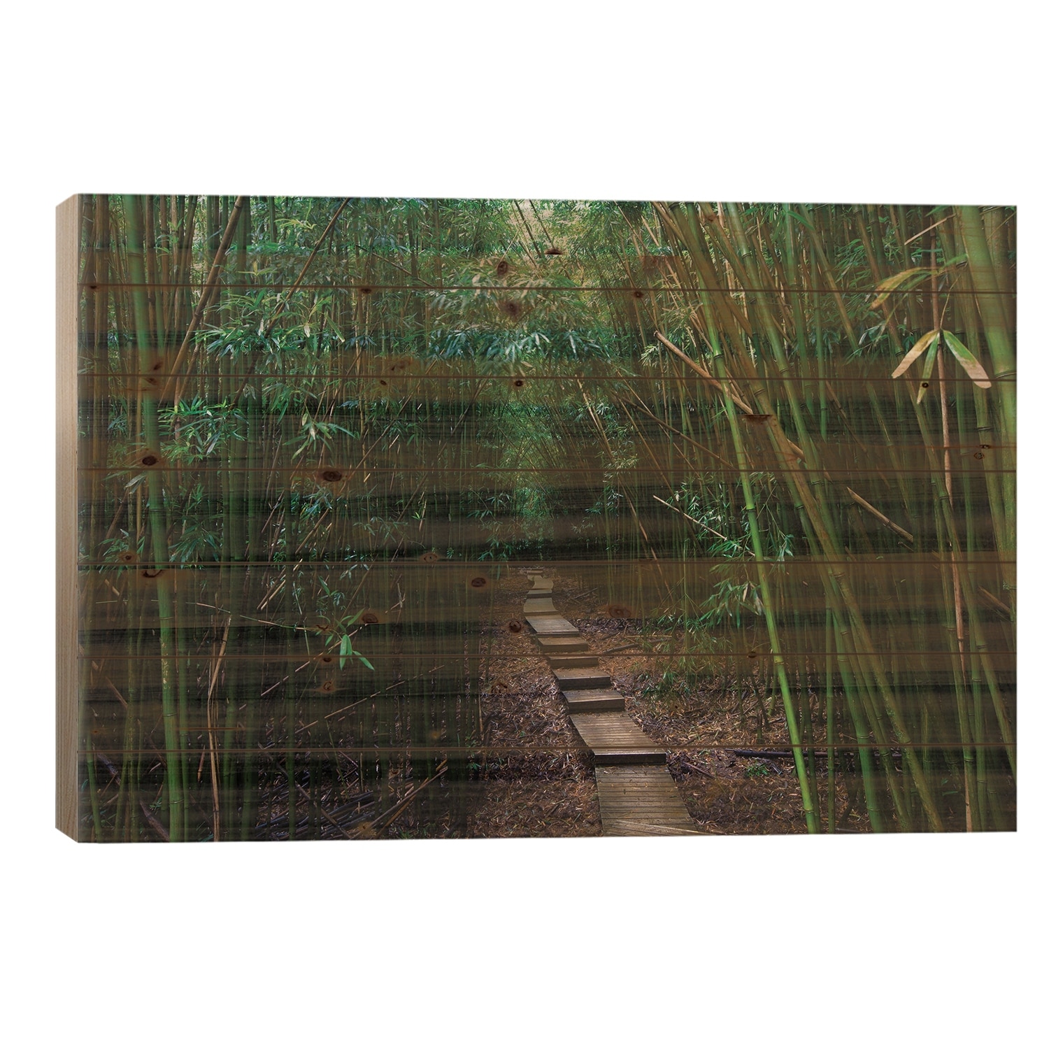 Boardwalk Through Bamboo, Pipiwai Trail, Hakeakala National Park, Maui, Hawaii, USA III Print On Wood by Panoramic Images