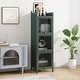 preview thumbnail 2 of 17, Modern Three-tier Glass Door Cabinet Dark Green