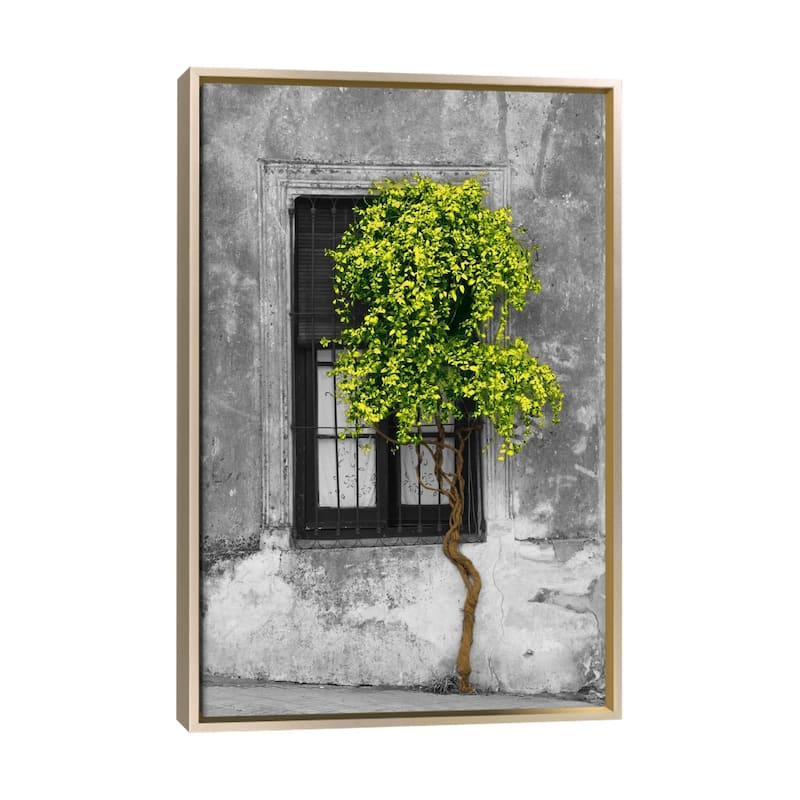 Large Wall Art, Framed Art, Modern Art, Plants, Botanical, by Panoramic Images - Champagne
