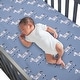 preview thumbnail 3 of 3, Lambs & Ivy Signature Zebra Blue Organic Cotton 2-Pack Fitted Crib Sheets