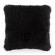 Option Black