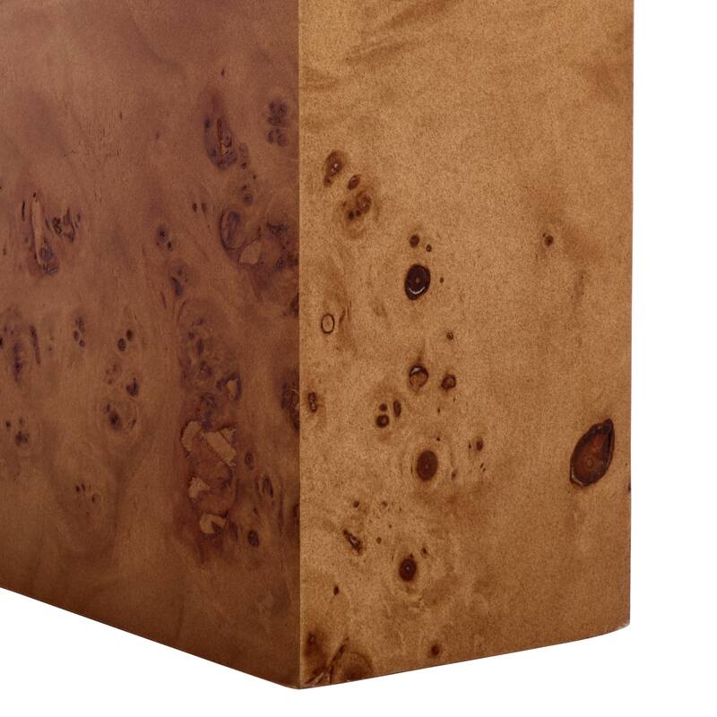 SAFAVIEH Couture Tessly Burl Veneer Console Table - 54"W x 15"D x 32"H