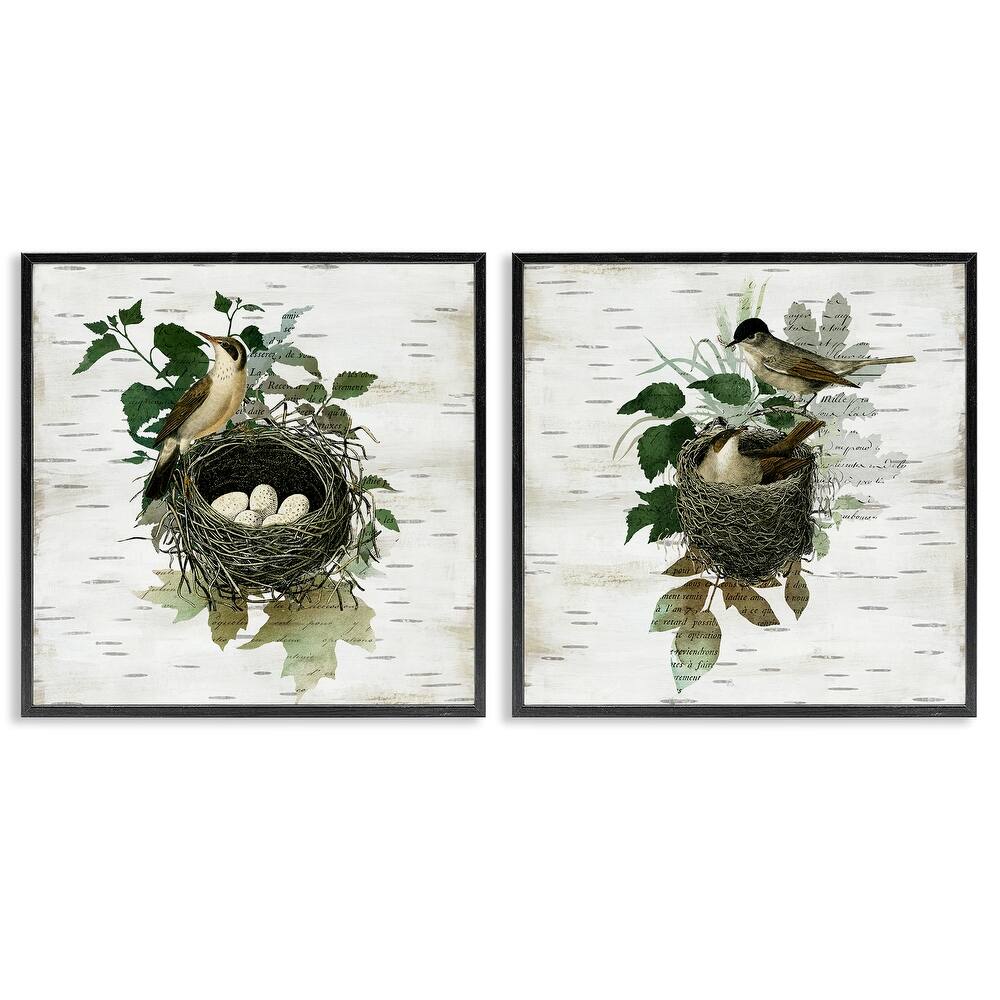 Stupell Rustic Vintage Bird Nests Framed Giclee Art Design By Susan Arnot (Set of 2)