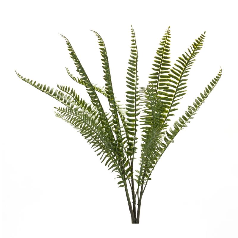 Fern Bush (Set of 6)