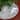 48" White Iridescent Holographic Glittered Christmas Tree Skirt
