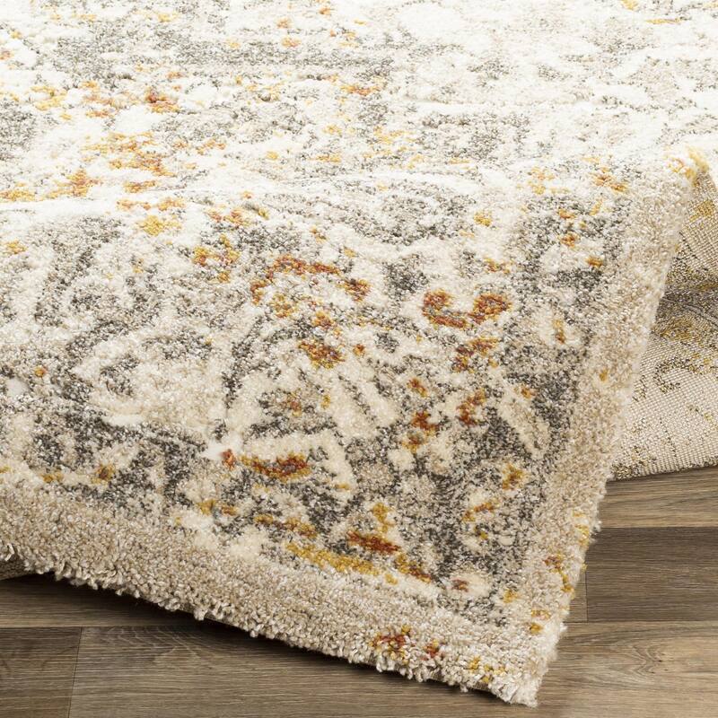 Pienza Updated Traditional Medallion Area Rug