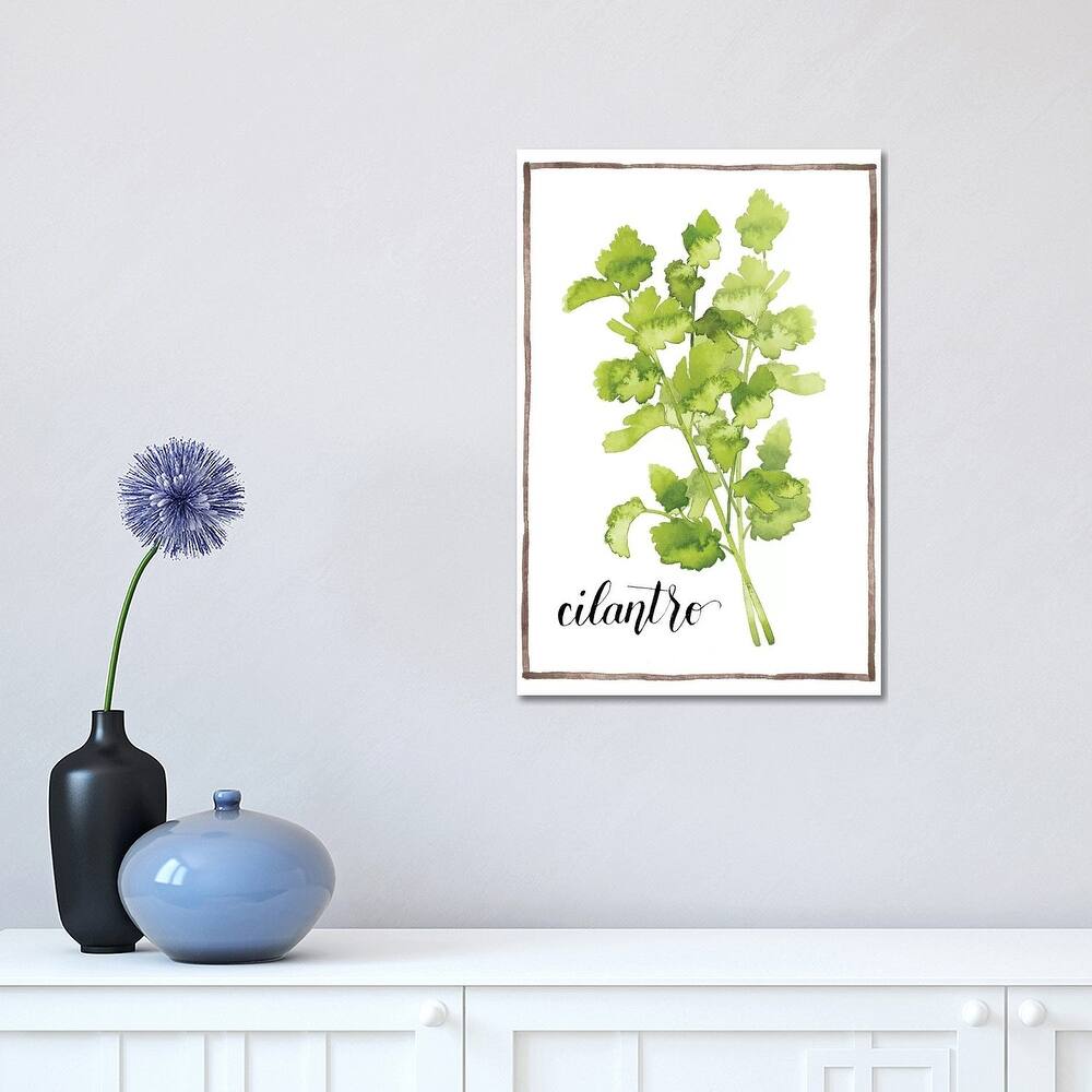 iCanvas "Watercolor Herbs IV" by Grace Popp Canvas Print