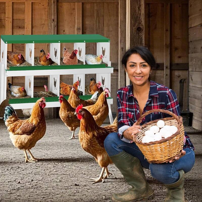 Chicken Nesting Box Nesting Boxes - Green 8-Hole  (with legs)