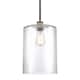 Option Clear / Black Antique Brass
