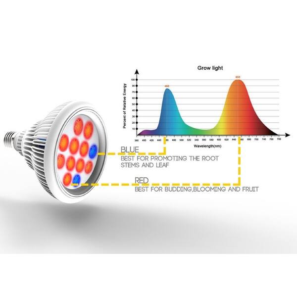 Shop E27 24w Led Grow Light Bulb High Efficient Hydroponic Plant