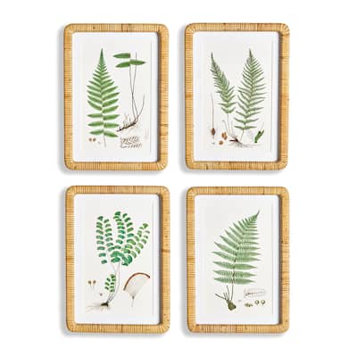 forest fern prints, set of 4