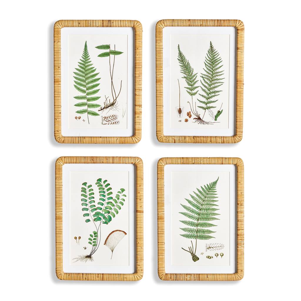 forest fern prints, set of 4