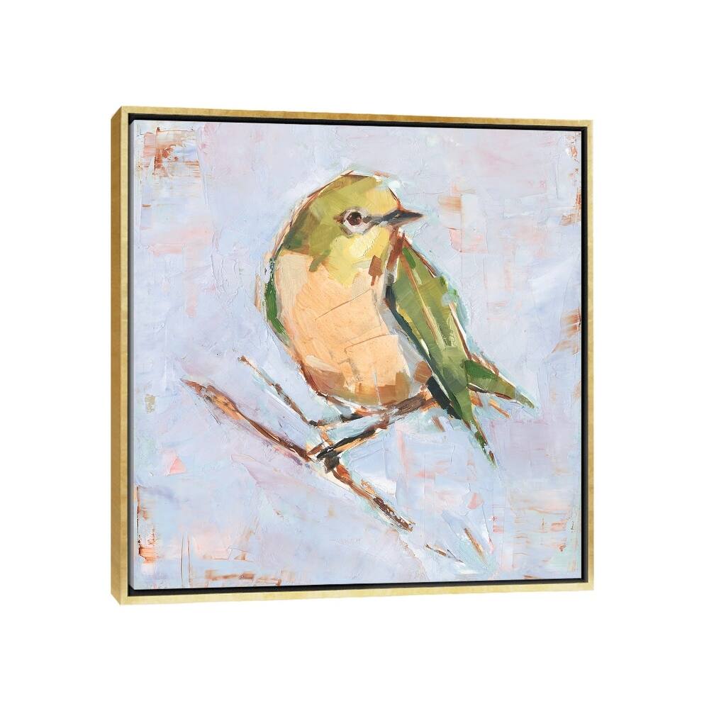iCanvas "Bird Variety II" by Ethan Harper Framed Canvas Print