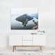 Bahubali hill and birds Photography Hill Mountains Art Print/Poster ...