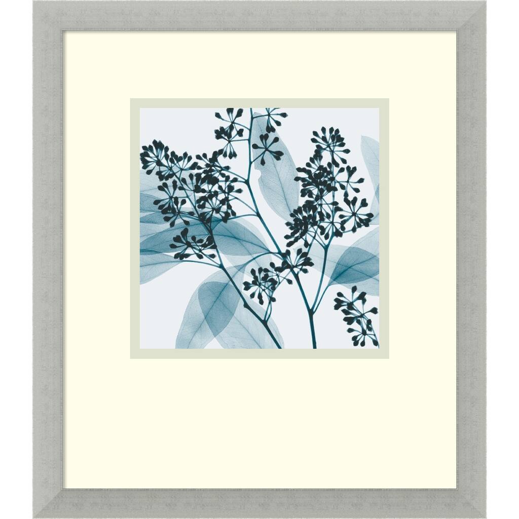 Framed Art Print 'Eucalyptus II' by Steven N. Meyers 15 x 17-inch