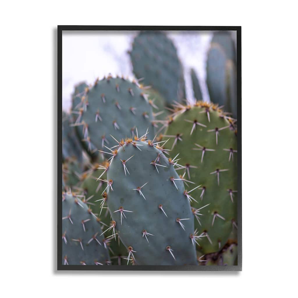 Stupell Prickly Cactus Thorns Close Up Photography Desert Vegetation Framed Wall Art, Design by Jeff Poe Photography - Green