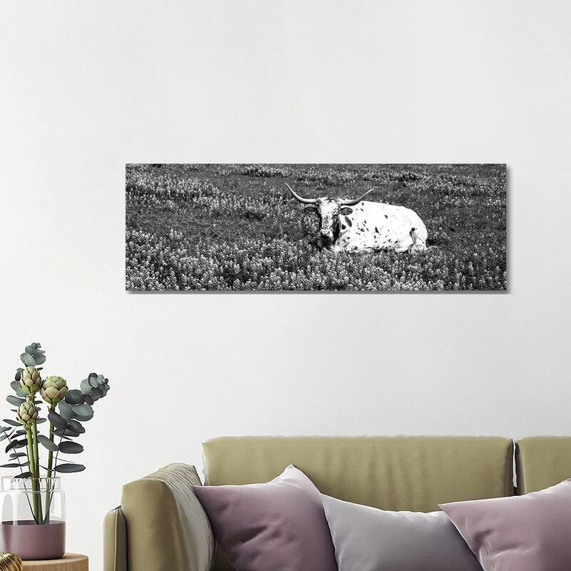 iCanvas "Texas Longhorn Cow Sitting On A Field, Hill County, Texas, USA" by Panoramic Images Canvas Print - 16x48x1.5