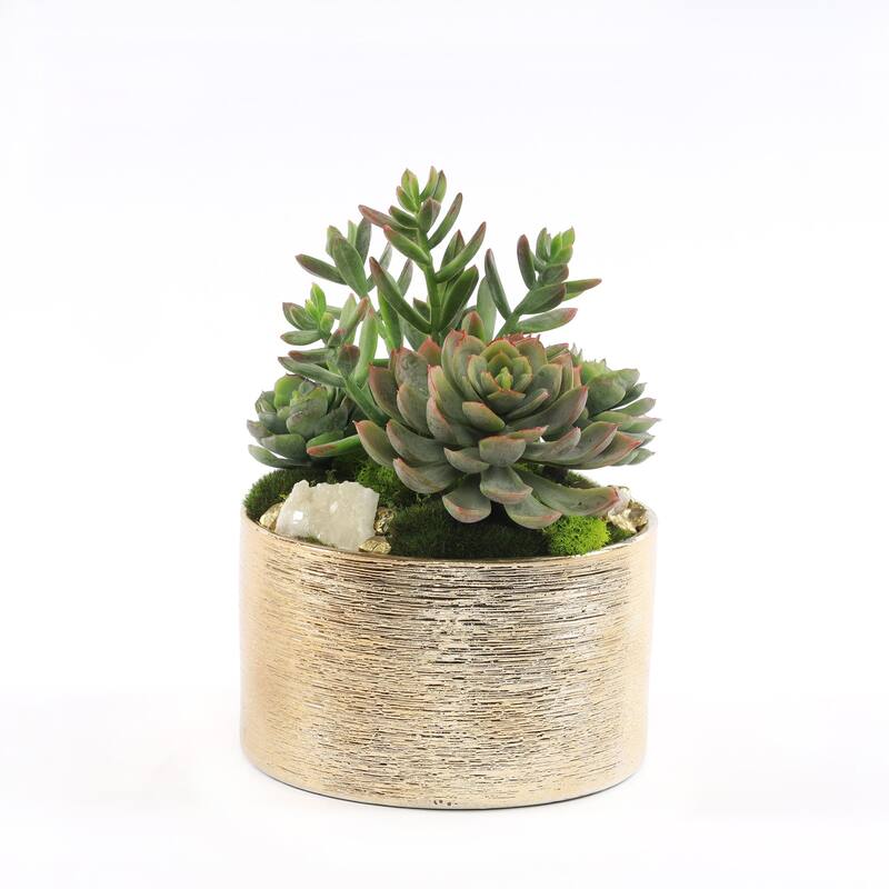 Faux Sedum & Succulent Arrangement in Etched Golden Pot - Green - Green