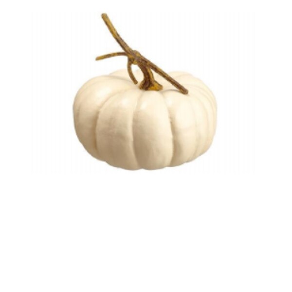 8” Cream Flat Round Pumpkin Fall Harvest Table Top Decoration - N/A