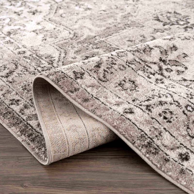 Albie Oriental Persian Medallion Area Rug
