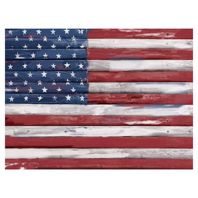 Shiplap Allegiance I by Studio Arts Canvas Art Print