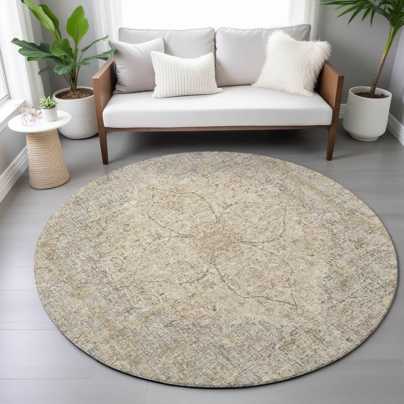 Machine Washable Indoor/Outdoor Traditional Global Chantille Rug