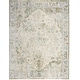 preview thumbnail 78 of 88, Nourison Astra Machine Washable Distressed Area Rug 6' 7" x 9' - Blue/Green