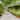 vidaXL Lawn Edgings Landscape Border Outdoor Garden Flexible Corten steel