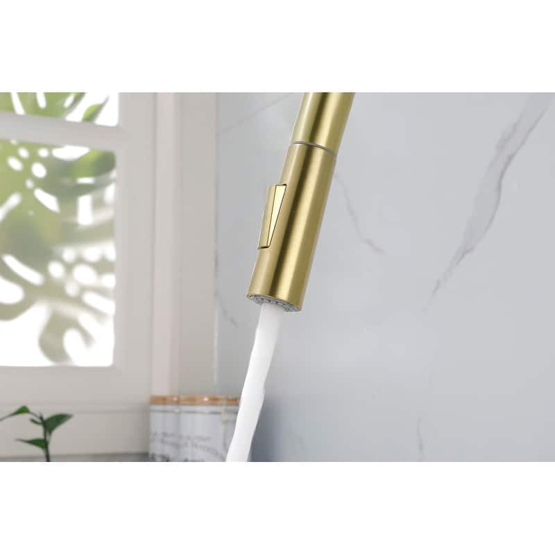 Kitchen Faucet with Pull Down Sprayer