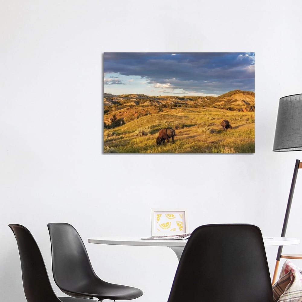 iCanvas "Bison grazing in badlands in Theodore Roosevelt National Park, North Dakota, USA" by Chuck Haney Canvas Print