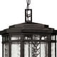preview thumbnail 3 of 2, Hinkley Lighting 4 Light Outdoor Lantern Pendant from the Tahoe