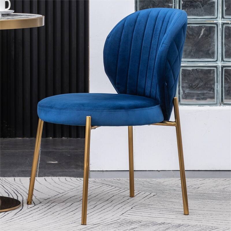 Modern Velvet Upholstery Dining Chair with Metal Frame (Set of 2)