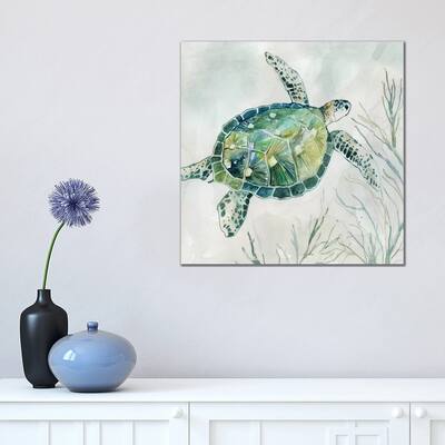 iCanvas "Seaglass Turtle I" by Carol Robinson Canvas Print