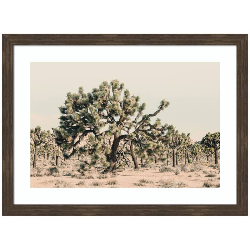 Kate and Laurel Joshua Tree No. 1 by Alicia Bock Framed Wall Art Print - 26 x 19 - Walnut