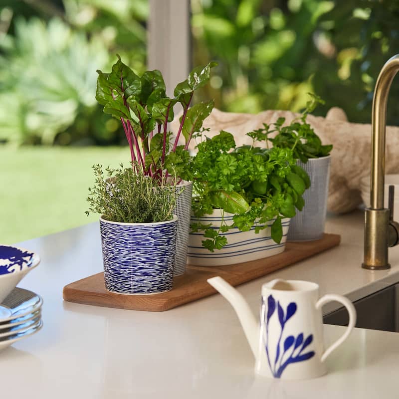 1815 Pacific Small Planter 5.75" Blue - 5.75 x 5.94"