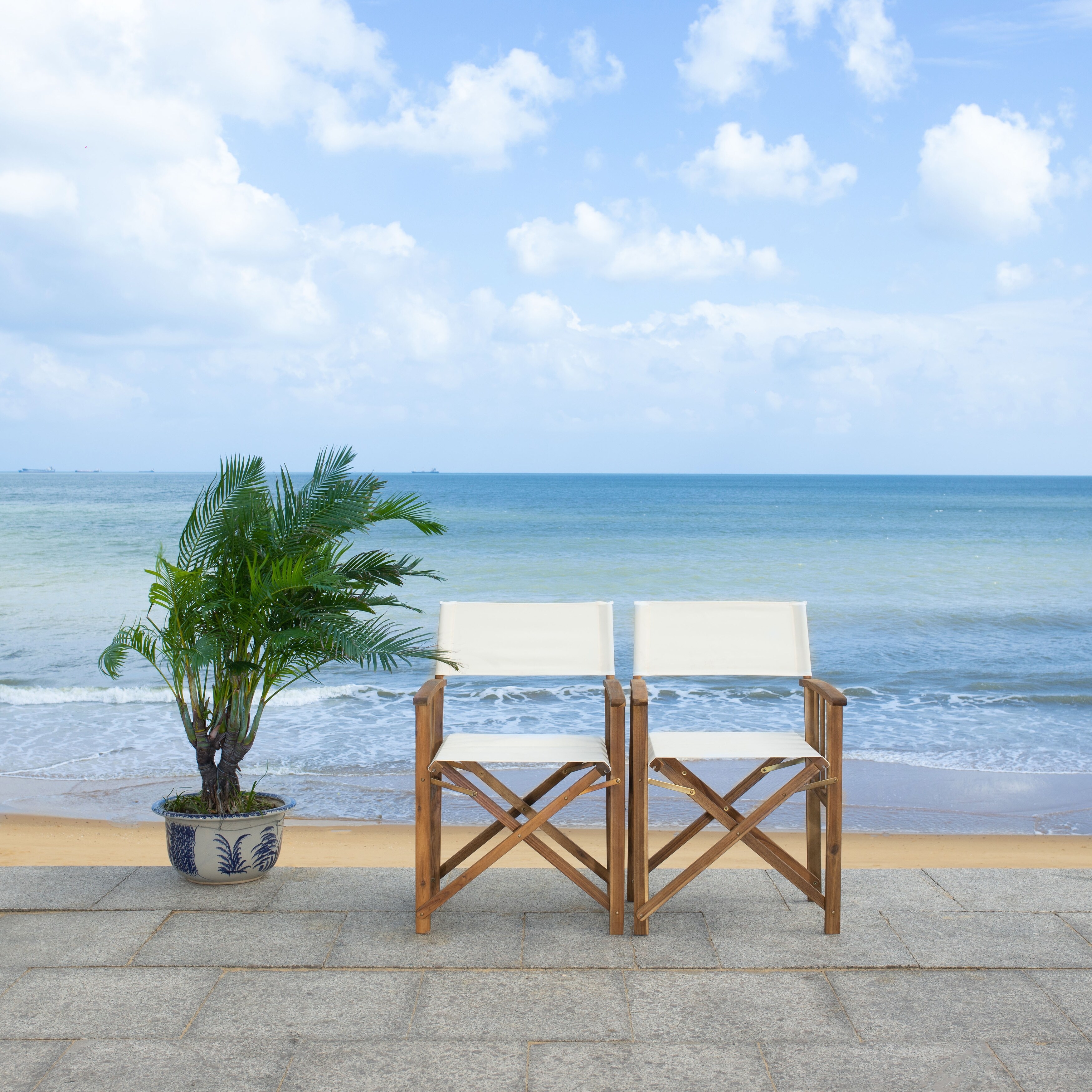 Director beach chair sales