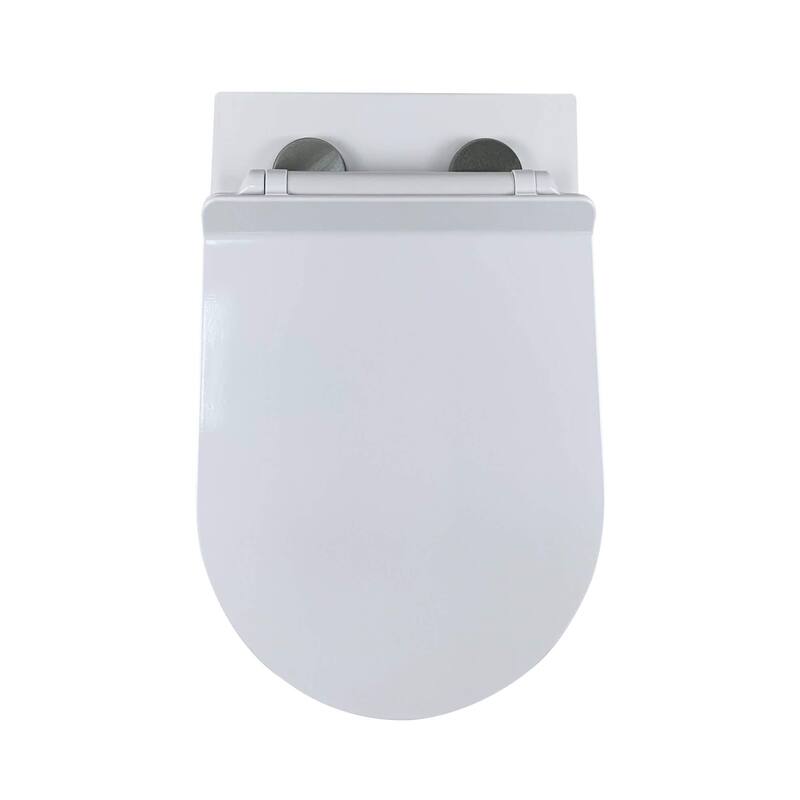 In-Wall toilet Combo Set - Toilet, Tank (2 x 4 Wall), Carrier System